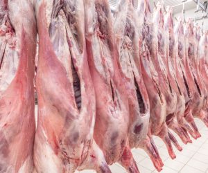 Refrigerated,Warehouse,,Hanging,Hooks,Of,Frozen,Lamb,Carcasses.halal,Certified,Halal